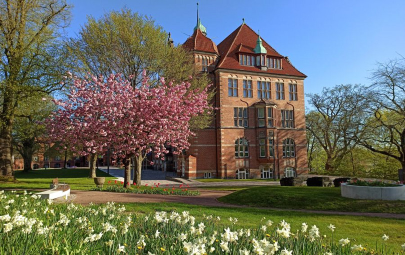 Museumsberg Flensburg