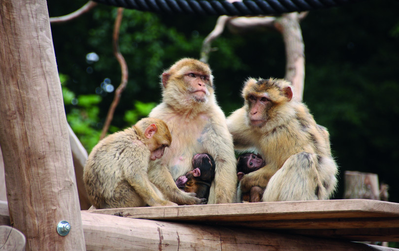 Tierpark Gettorf