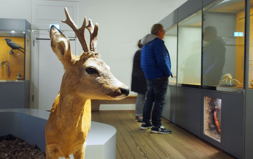 Naturwissenschaftliches Museum