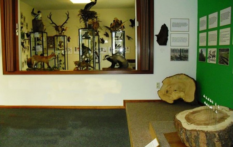Waldmuseum Glücksburg