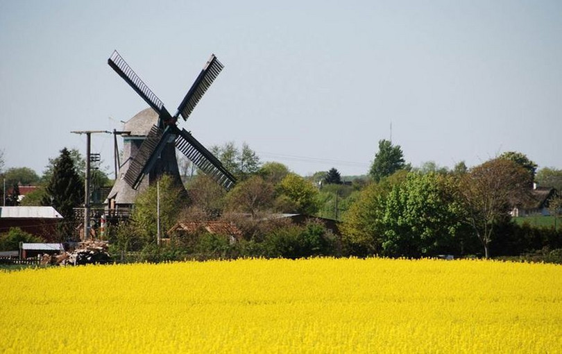 Mühle Renata in Schwensby