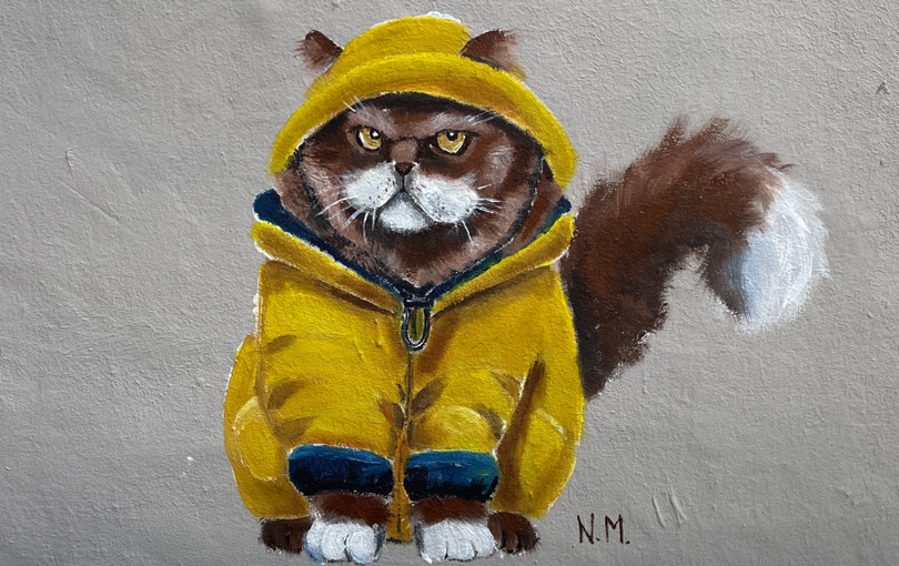 Katzen Galerie