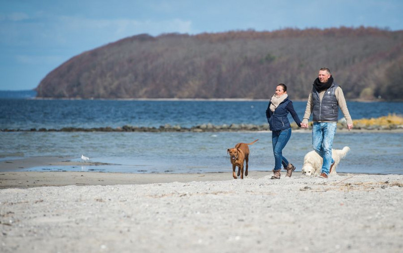 Urlaub mit Hund an der Flensburger Förde