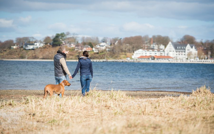 Urlaub mit Hund
