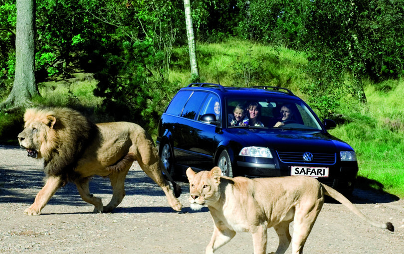 Givskud Zoo